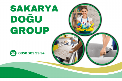 Sakarya Doğu Grup